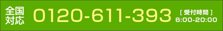 0120611393